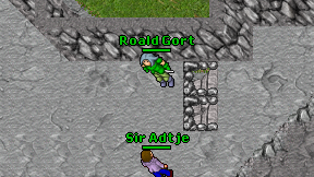 Roald Gort on screen