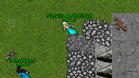 Nevin Arheirid on screen