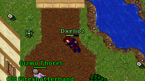 Dxelioz on screen