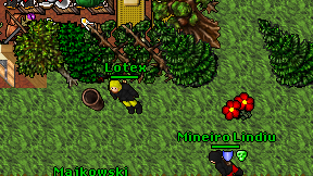 Lotex on screen