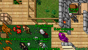 Kazi Kami on screen