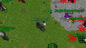 Reinobus on screen