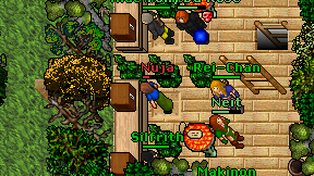 Nuja on screen
