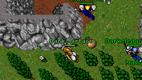 Dark Martaco on screen