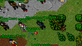 Phantons'knight on screen