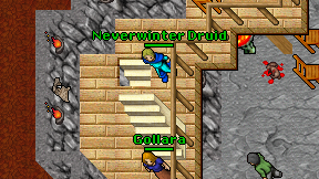 Neverwinter Druid on screen
