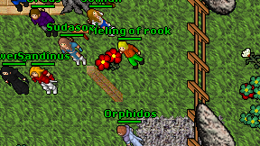 Meling of rook on screen