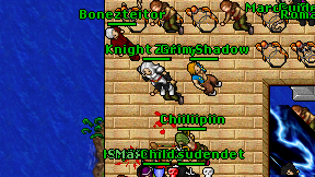 Knight Zallayin on screen