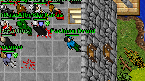 Fachion Druid on screen