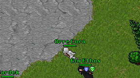 Orre Cora on screen