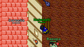Haiwaati on screen