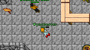 Wynchester on screen