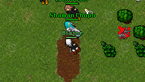 Blajne on screen