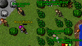Dee pulse on screen