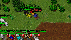 Kerbitz on screen
