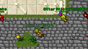 Country Guard on screen