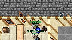 Leechs on screen