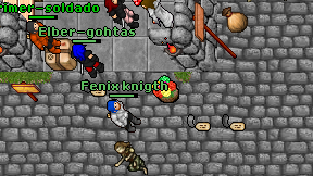 Fenix knigth on screen