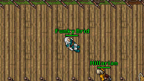 Funky Brid on screen