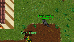 Fox Nirty on screen