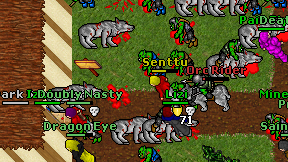 Senttu on screen