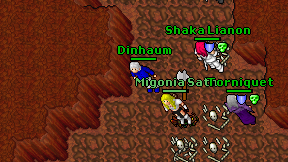 Dinhaum on screen