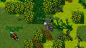 Eilap Trato on screen