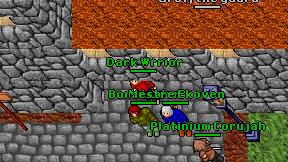 Dark Wrrior on screen