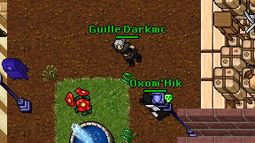 Guille Darkmc on screen