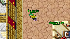 Scanja on screen