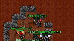 Derm'Druid on screen