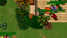 Michasz-Druid on screen