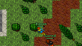 Kapas on screen