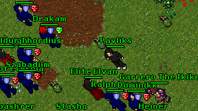 Pavliks on screen