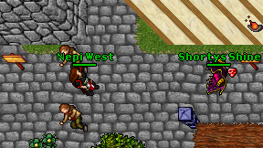 Nepi West on screen