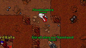 Noainames on screen