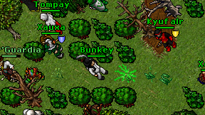 Bunkey on screen