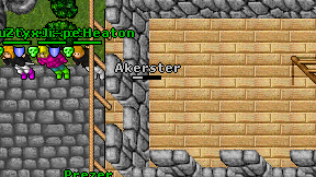 Akerster on screen
