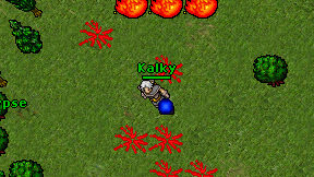 Kalky on screen