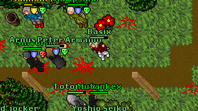 Basix on screen