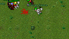 Lucas Sauce on screen