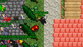 Karuxe on screen