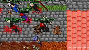 Gunu Gofer on screen