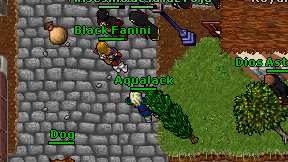 Aqualack on screen