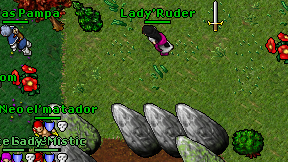 Lady'Ruder on screen