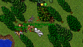 Zerox Performer on screen