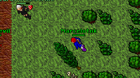 Marcelotnk on screen