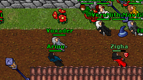 Voxader on screen
