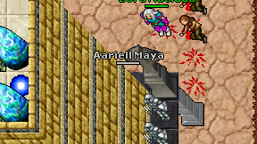 Aariell Maya on screen
