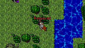 Polgarat on screen